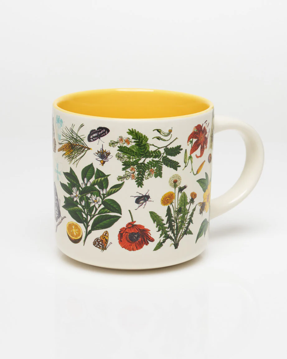 Mugs